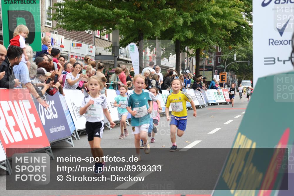 21.09.2025 - PSD Bank Halbmarathon Strokosch-Dieckow http://msf.ph/oto/8939333 21.09.2025 10:32:38 Ziel 130, 133, 159, 173, 273, 282, 312, 364, 372 meine-sportfotos.de
