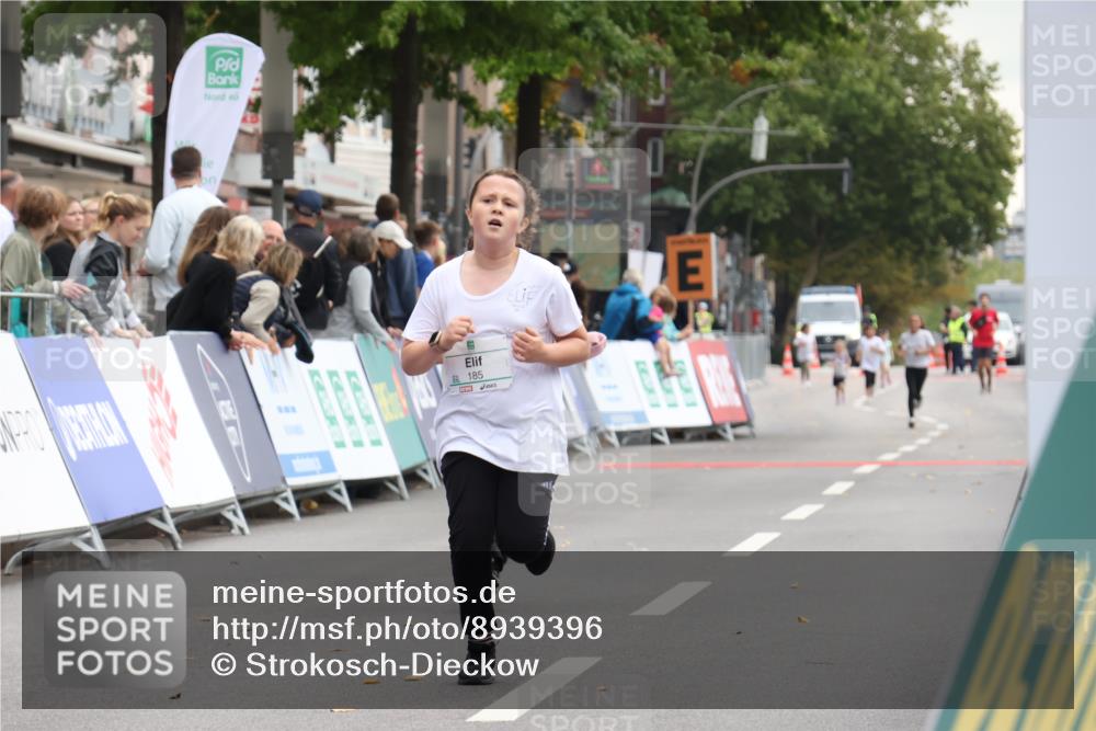 21.09.2025 - PSD Bank Halbmarathon Strokosch-Dieckow http://msf.ph/oto/8939396 21.09.2025 10:33:57 Ziel 185, 186, 308 meine-sportfotos.de