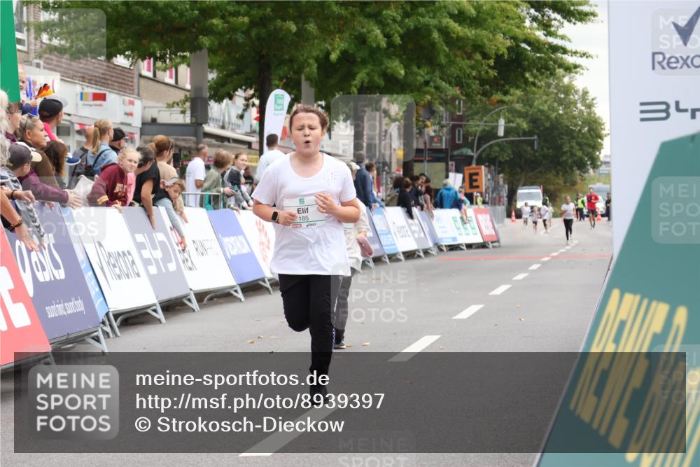 21.09.2025 - PSD Bank Halbmarathon Strokosch-Dieckow http://msf.ph/oto/8939397 21.09.2025 10:33:58 Ziel 185, 186, 308 meine-sportfotos.de