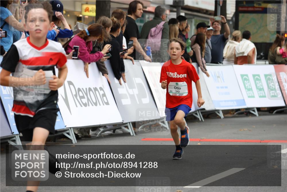 21.09.2025 - PSD Bank Halbmarathon Strokosch-Dieckow http://msf.ph/oto/8941288 21.09.2025 10:27:32 Ziel 101, 107, 149, 247, 249, 262, 292, 341, 342, 391, 392, 399 meine-sportfotos.de