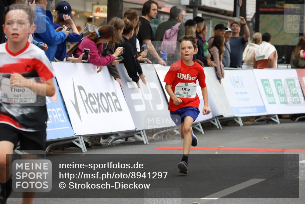 21.09.2025 - PSD Bank Halbmarathon Strokosch-Dieckow http://msf.ph/oto/8941297 21.09.2025 10:27:32 Ziel 101, 107, 149, 247, 249, 262, 292, 341, 342, 391, 392, 399 meine-sportfotos.de