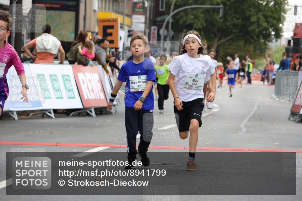 21.09.2025 - PSD Bank Halbmarathon Strokosch-Dieckow http://msf.ph/oto/8941799 21.09.2025 10:28:08 Ziel 213, 220, 240, 253, 270, 288, 356, 411, 425, 442 meine-sportfotos.de