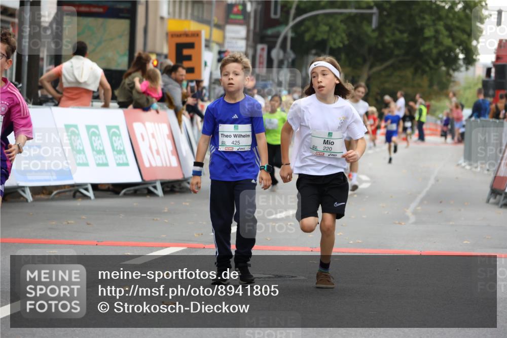 21.09.2025 - PSD Bank Halbmarathon Strokosch-Dieckow http://msf.ph/oto/8941805 21.09.2025 10:28:08 Ziel 213, 220, 240, 253, 270, 288, 356, 411, 425, 442 meine-sportfotos.de