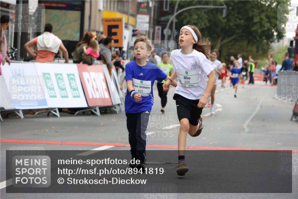 21.09.2025 - PSD Bank Halbmarathon Strokosch-Dieckow http://msf.ph/oto/8941819 21.09.2025 10:28:08 Ziel 213, 220, 240, 253, 270, 288, 356, 411, 425, 442 meine-sportfotos.de