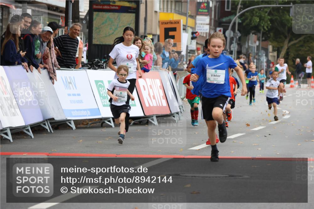 21.09.2025 - PSD Bank Halbmarathon Strokosch-Dieckow http://msf.ph/oto/8942144 21.09.2025 10:29:10 Ziel 168, 261, 267, 327, 345, 390, 395, 416, 443, 455 meine-sportfotos.de