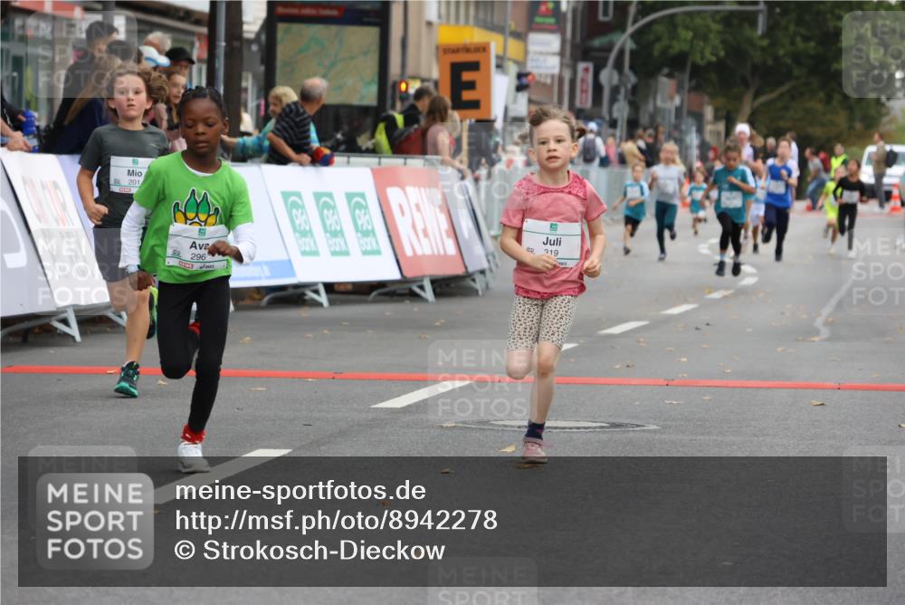 21.09.2025 - PSD Bank Halbmarathon Strokosch-Dieckow http://msf.ph/oto/8942278 21.09.2025 10:29:43 Ziel 103, 131, 132, 201, 235, 271, 296, 300, 319, 393 meine-sportfotos.de