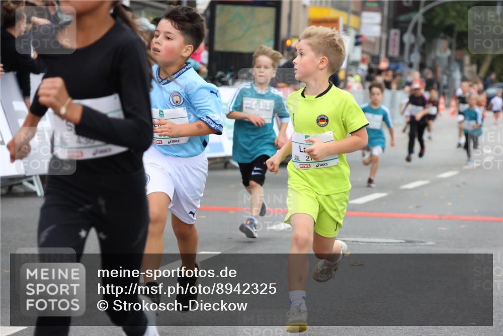 21.09.2025 - PSD Bank Halbmarathon Strokosch-Dieckow http://msf.ph/oto/8942325 21.09.2025 10:29:58 Ziel 131, 140, 141, 195, 234, 245, 272, 276, 430, 438 meine-sportfotos.de