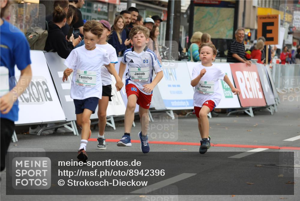 21.09.2025 - PSD Bank Halbmarathon Strokosch-Dieckow http://msf.ph/oto/8942396 21.09.2025 10:30:19 Ziel 102, 104, 227, 243, 343, 377, 382, 407, 448, 458, 459 meine-sportfotos.de