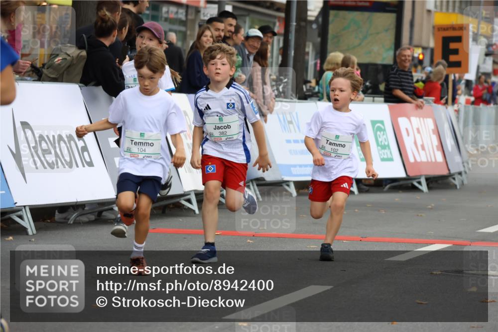 21.09.2025 - PSD Bank Halbmarathon Strokosch-Dieckow http://msf.ph/oto/8942400 21.09.2025 10:30:19 Ziel 102, 104, 227, 243, 343, 377, 382, 407, 448, 458, 459 meine-sportfotos.de
