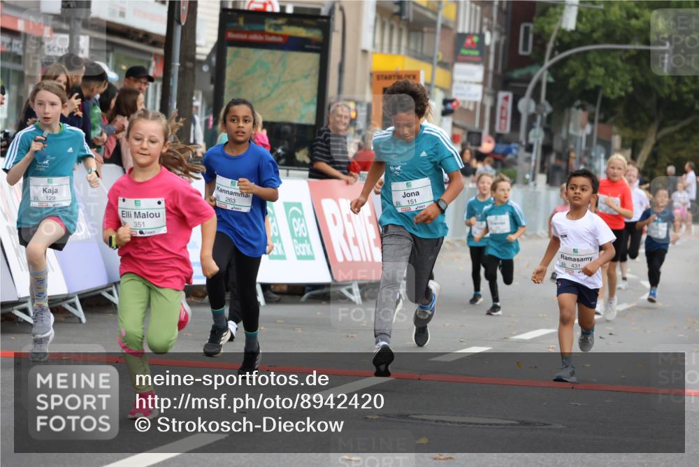 21.09.2025 - PSD Bank Halbmarathon Strokosch-Dieckow http://msf.ph/oto/8942420 21.09.2025 10:30:30 Ziel 116, 129, 151, 263, 320, 344, 351, 370, 375, 431, 456, 457 meine-sportfotos.de