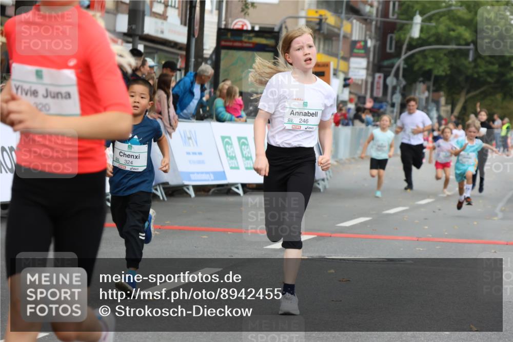 21.09.2025 - PSD Bank Halbmarathon Strokosch-Dieckow http://msf.ph/oto/8942455 21.09.2025 10:30:39 Ziel 108, 116, 129, 151, 192, 246, 263, 320, 324, 335, 351, 370, 375, 402, 405, 431, 456, 457 meine-sportfotos.de