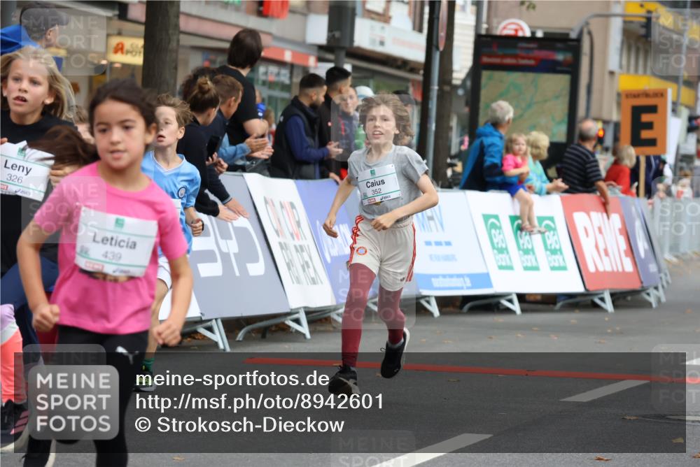 21.09.2025 - PSD Bank Halbmarathon Strokosch-Dieckow http://msf.ph/oto/8942601 21.09.2025 10:31:28 Ziel 147, 148, 224, 287, 326, 352, 414, 439, 454 meine-sportfotos.de