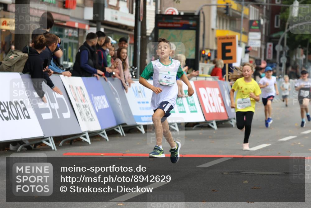 21.09.2025 - PSD Bank Halbmarathon Strokosch-Dieckow http://msf.ph/oto/8942629 21.09.2025 10:31:37 Ziel 122, 224, 287, 352, 404, 454, 463 meine-sportfotos.de