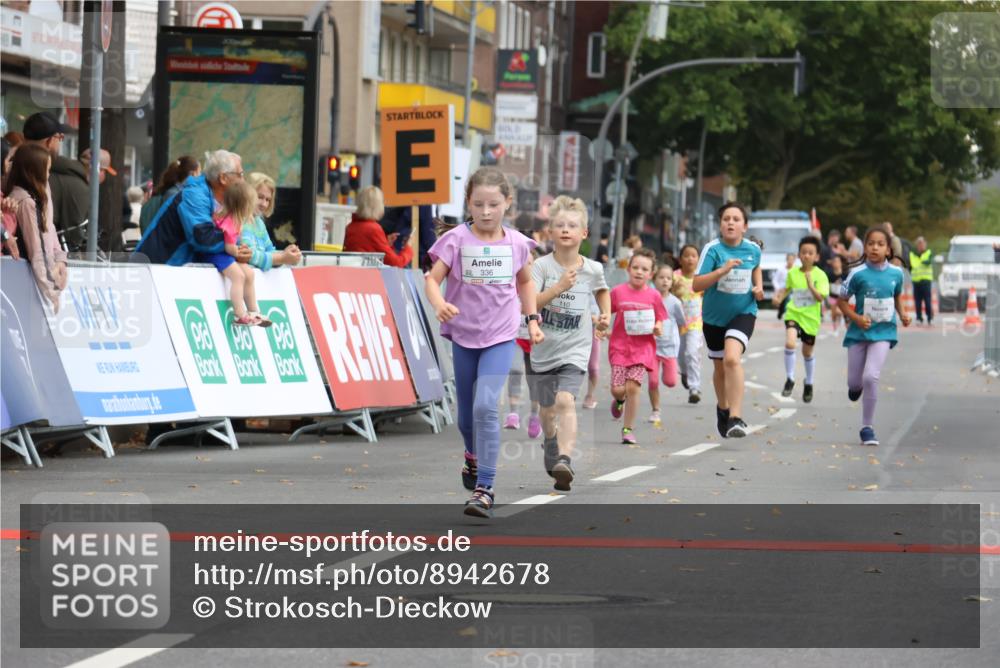 21.09.2025 - PSD Bank Halbmarathon Strokosch-Dieckow http://msf.ph/oto/8942678 21.09.2025 10:31:55 Ziel 110, 135, 137, 175, 208, 336 meine-sportfotos.de