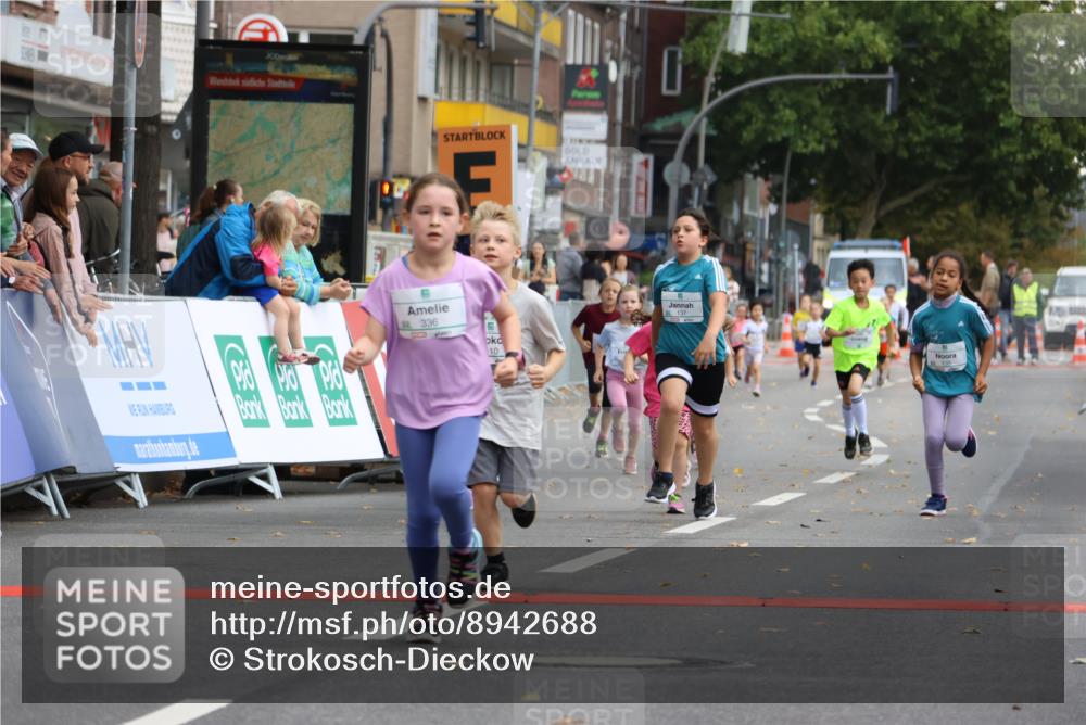 21.09.2025 - PSD Bank Halbmarathon Strokosch-Dieckow http://msf.ph/oto/8942688 21.09.2025 10:31:57 Ziel 110, 135, 137, 208, 259, 260, 293, 309, 336 meine-sportfotos.de