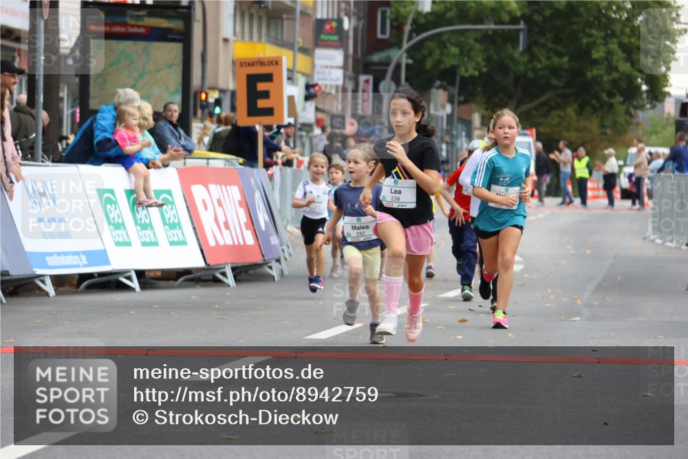 21.09.2025 - PSD Bank Halbmarathon Strokosch-Dieckow http://msf.ph/oto/8942759 21.09.2025 10:32:18 Ziel 133, 159, 173, 238, 273, 282, 368, 385 meine-sportfotos.de