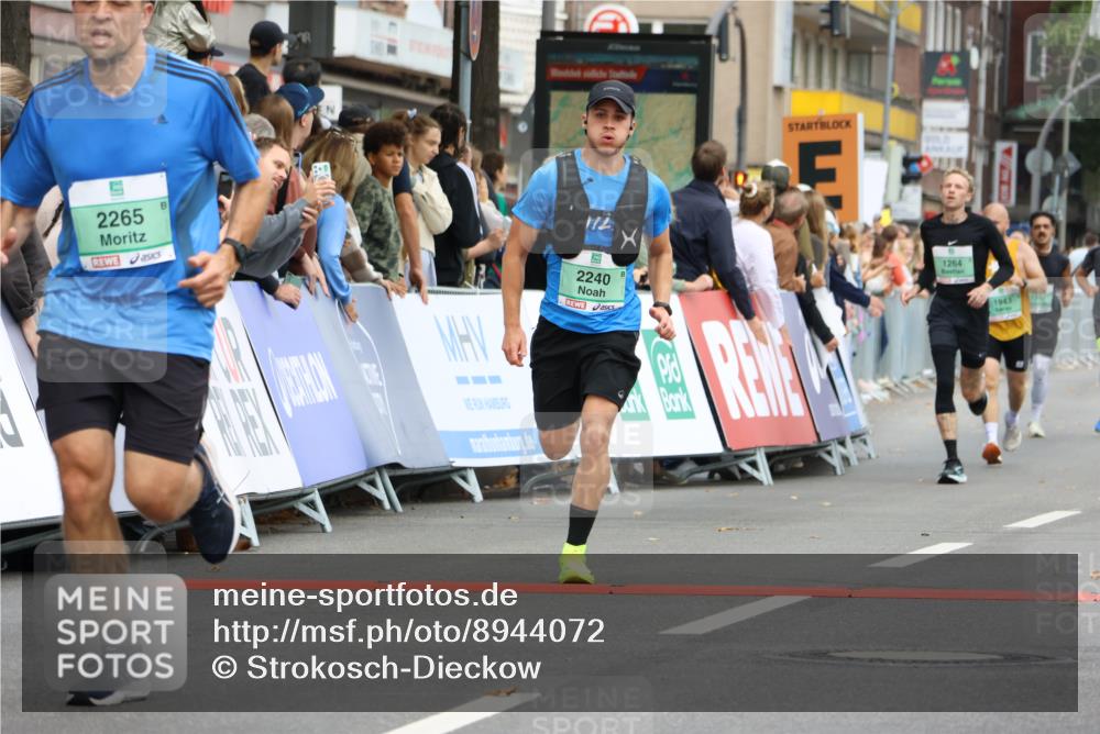 21.09.2025 - PSD Bank Halbmarathon Strokosch-Dieckow http://msf.ph/oto/8944072 21.09.2025 11:43:08 Ziel 1264, 1555, 1943, 2019, 2157, 2178, 2202, 2240, 2265 meine-sportfotos.de