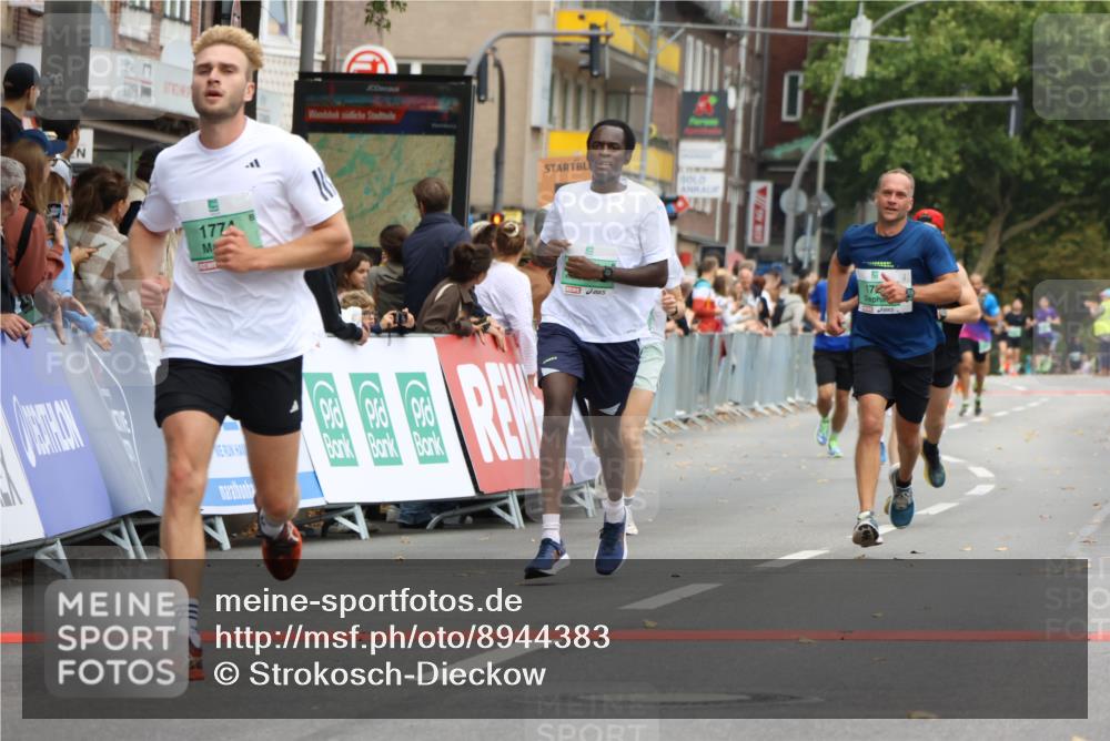 21.09.2025 - PSD Bank Halbmarathon Strokosch-Dieckow http://msf.ph/oto/8944383 21.09.2025 11:45:06 Ziel 1123, 1722, 1728, 1774, 1958, 2136, 2171, 2501, 3925 meine-sportfotos.de