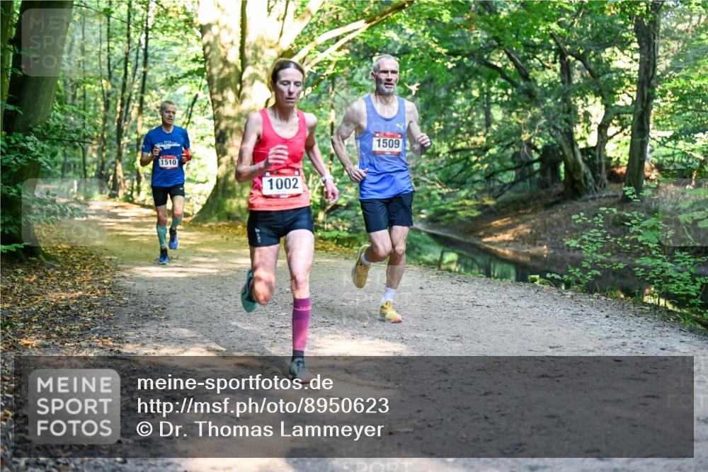 28.09.2025 - 33. Volkslauf durch das schöne Alstertal Dr. Thomas Lammeyer http://msf.ph/oto/8950623 28.09.2025 10:13:49 Laufen 1510, 1002, 1509 meine-sportfotos.de
