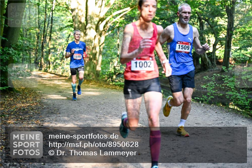 28.09.2025 - 33. Volkslauf durch das schöne Alstertal Dr. Thomas Lammeyer http://msf.ph/oto/8950628 28.09.2025 10:13:50 Laufen 18, 1510, 1002, 1509 meine-sportfotos.de