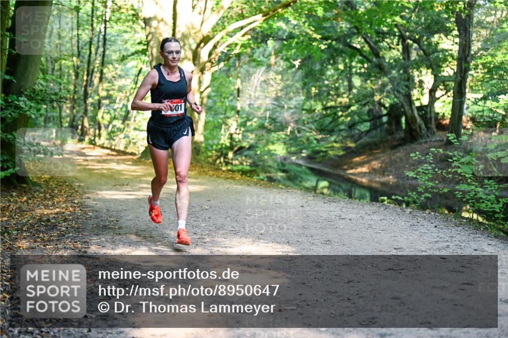 28.09.2025 - 33. Volkslauf durch das schöne Alstertal Dr. Thomas Lammeyer http://msf.ph/oto/8950647 28.09.2025 10:13:57 Laufen  meine-sportfotos.de