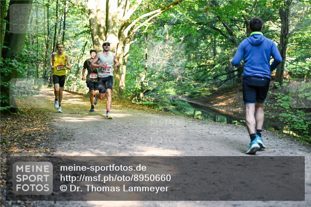 28.09.2025 - 33. Volkslauf durch das schöne Alstertal Dr. Thomas Lammeyer http://msf.ph/oto/8950660 28.09.2025 10:14:09 Laufen 1515, 1511, 1516 meine-sportfotos.de
