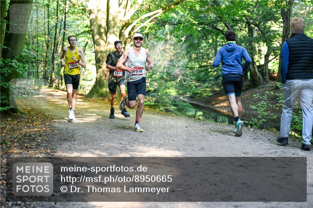 28.09.2025 - 33. Volkslauf durch das schöne Alstertal Dr. Thomas Lammeyer http://msf.ph/oto/8950665 28.09.2025 10:14:10 Laufen 1515, 1511, 516 meine-sportfotos.de