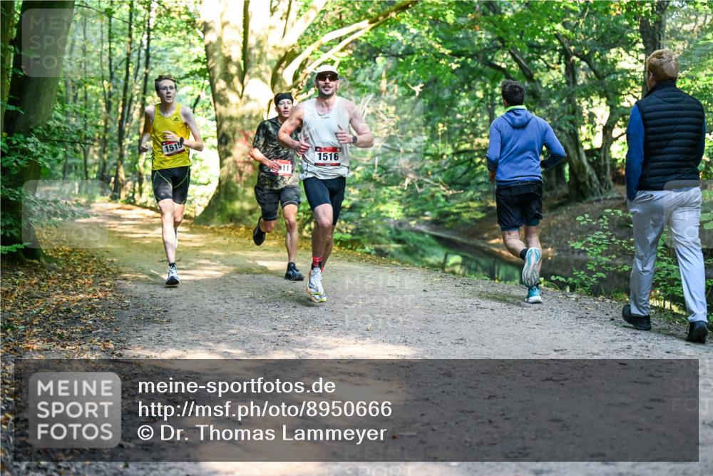 28.09.2025 - 33. Volkslauf durch das schöne Alstertal Dr. Thomas Lammeyer http://msf.ph/oto/8950666 28.09.2025 10:14:10 Laufen 1515, 1516 meine-sportfotos.de