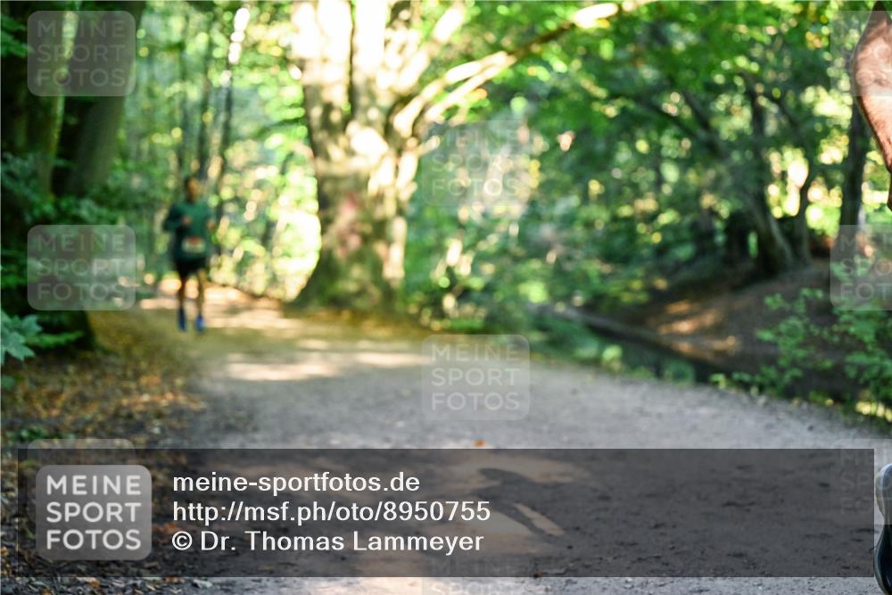 28.09.2025 - 33. Volkslauf durch das schöne Alstertal Dr. Thomas Lammeyer http://msf.ph/oto/8950755 28.09.2025 10:14:38 Laufen  meine-sportfotos.de