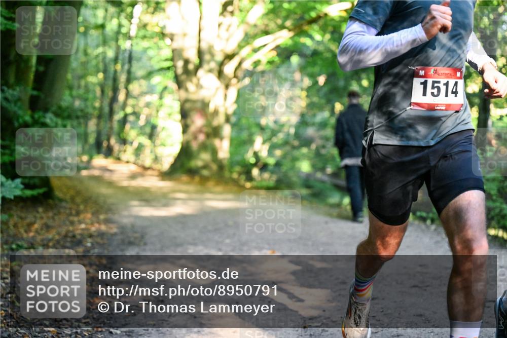 28.09.2025 - 33. Volkslauf durch das schöne Alstertal Dr. Thomas Lammeyer http://msf.ph/oto/8950791 28.09.2025 10:14:56 Laufen 1514 meine-sportfotos.de