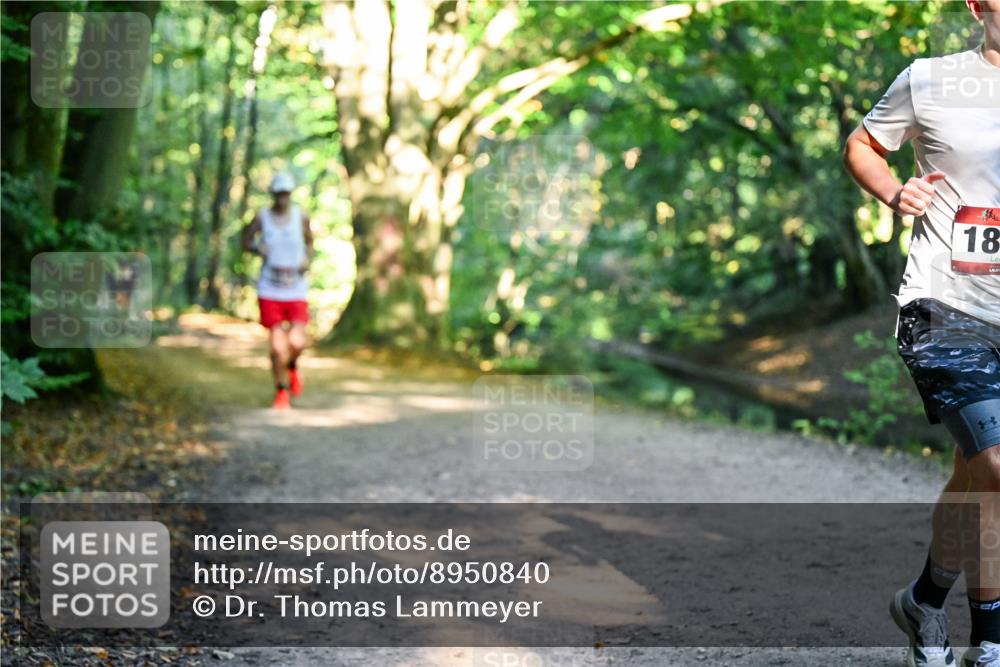 28.09.2025 - 33. Volkslauf durch das schöne Alstertal Dr. Thomas Lammeyer http://msf.ph/oto/8950840 28.09.2025 10:15:18 Laufen 18 meine-sportfotos.de
