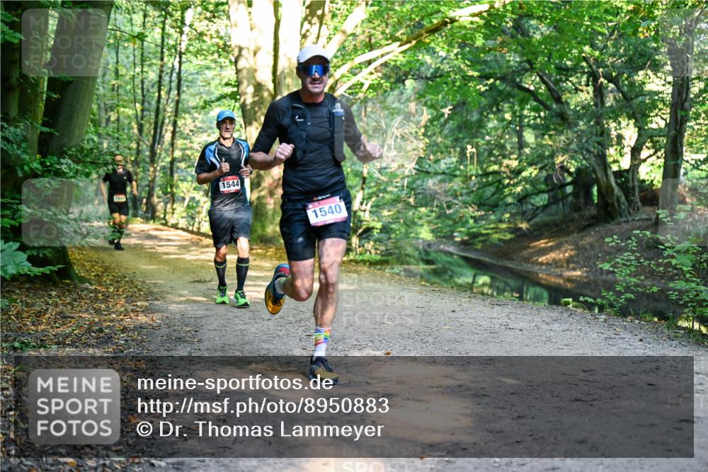 28.09.2025 - 33. Volkslauf durch das schöne Alstertal Dr. Thomas Lammeyer http://msf.ph/oto/8950883 28.09.2025 10:15:28 Laufen 1544, 1649, 1540 meine-sportfotos.de