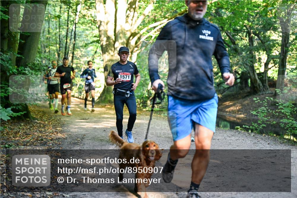 28.09.2025 - 33. Volkslauf durch das schöne Alstertal Dr. Thomas Lammeyer http://msf.ph/oto/8950907 28.09.2025 10:15:40 Laufen 11853, 1596, 1571 meine-sportfotos.de