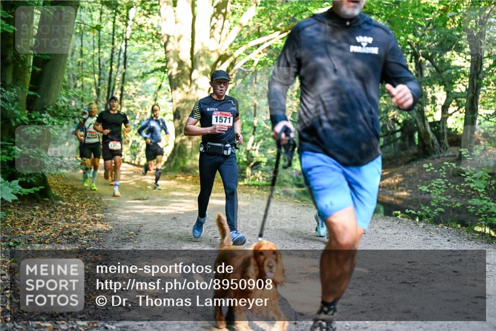 28.09.2025 - 33. Volkslauf durch das schöne Alstertal Dr. Thomas Lammeyer http://msf.ph/oto/8950908 28.09.2025 10:15:41 Laufen 155, 1571, 1000 meine-sportfotos.de