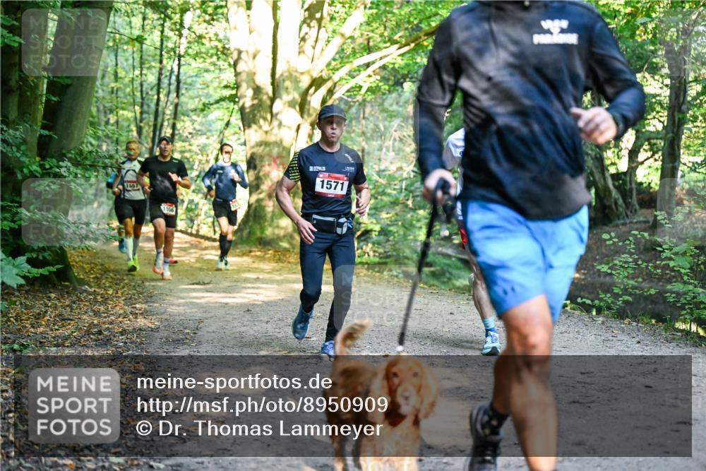 28.09.2025 - 33. Volkslauf durch das schöne Alstertal Dr. Thomas Lammeyer http://msf.ph/oto/8950909 28.09.2025 10:15:41 Laufen 1557, 1556, 1571 meine-sportfotos.de