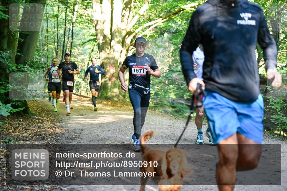28.09.2025 - 33. Volkslauf durch das schöne Alstertal Dr. Thomas Lammeyer http://msf.ph/oto/8950910 28.09.2025 10:15:41 Laufen 1557, 1556, 1571 meine-sportfotos.de