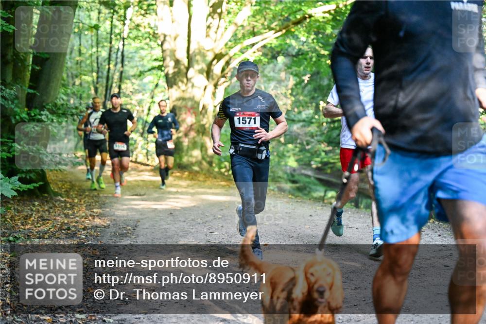 28.09.2025 - 33. Volkslauf durch das schöne Alstertal Dr. Thomas Lammeyer http://msf.ph/oto/8950911 28.09.2025 10:15:41 Laufen 1571 meine-sportfotos.de