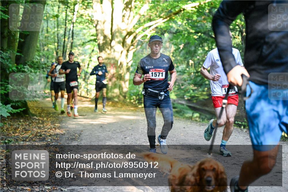 28.09.2025 - 33. Volkslauf durch das schöne Alstertal Dr. Thomas Lammeyer http://msf.ph/oto/8950912 28.09.2025 10:15:41 Laufen 1571, 1859 meine-sportfotos.de