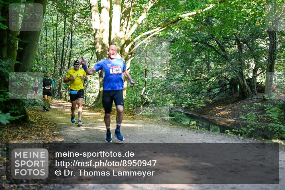 28.09.2025 - 33. Volkslauf durch das schöne Alstertal Dr. Thomas Lammeyer http://msf.ph/oto/8950947 28.09.2025 10:15:50 Laufen 1531, 568 meine-sportfotos.de