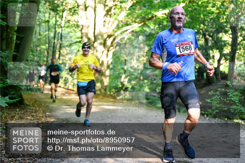28.09.2025 - 33. Volkslauf durch das schöne Alstertal Dr. Thomas Lammeyer http://msf.ph/oto/8950957 28.09.2025 10:15:52 Laufen 1568 meine-sportfotos.de