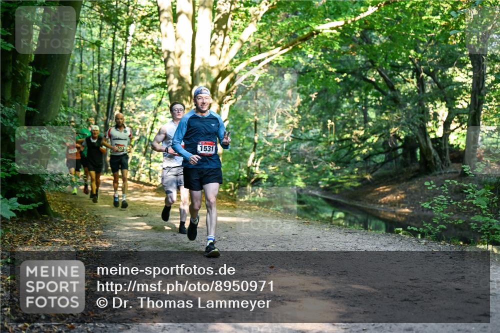 28.09.2025 - 33. Volkslauf durch das schöne Alstertal Dr. Thomas Lammeyer http://msf.ph/oto/8950971 28.09.2025 10:15:54 Laufen 5351, 1531, 1595 meine-sportfotos.de