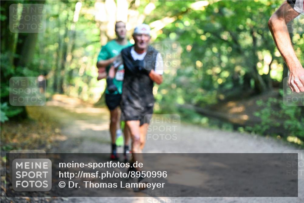 28.09.2025 - 33. Volkslauf durch das schöne Alstertal Dr. Thomas Lammeyer http://msf.ph/oto/8950996 28.09.2025 10:15:58 Laufen  meine-sportfotos.de