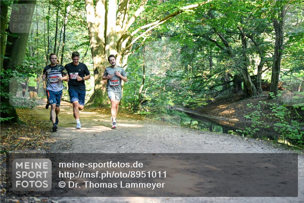 28.09.2025 - 33. Volkslauf durch das schöne Alstertal Dr. Thomas Lammeyer http://msf.ph/oto/8951011 28.09.2025 10:16:09 Laufen 43, 1627, 2256, 1628 meine-sportfotos.de
