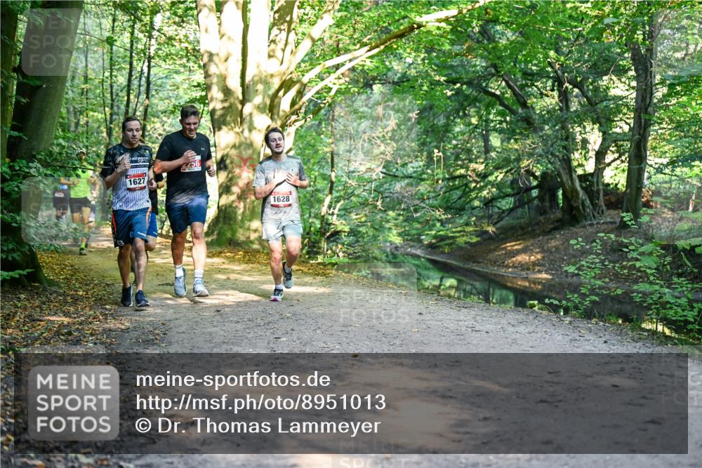 28.09.2025 - 33. Volkslauf durch das schöne Alstertal Dr. Thomas Lammeyer http://msf.ph/oto/8951013 28.09.2025 10:16:09 Laufen 1627, 256, 1628 meine-sportfotos.de