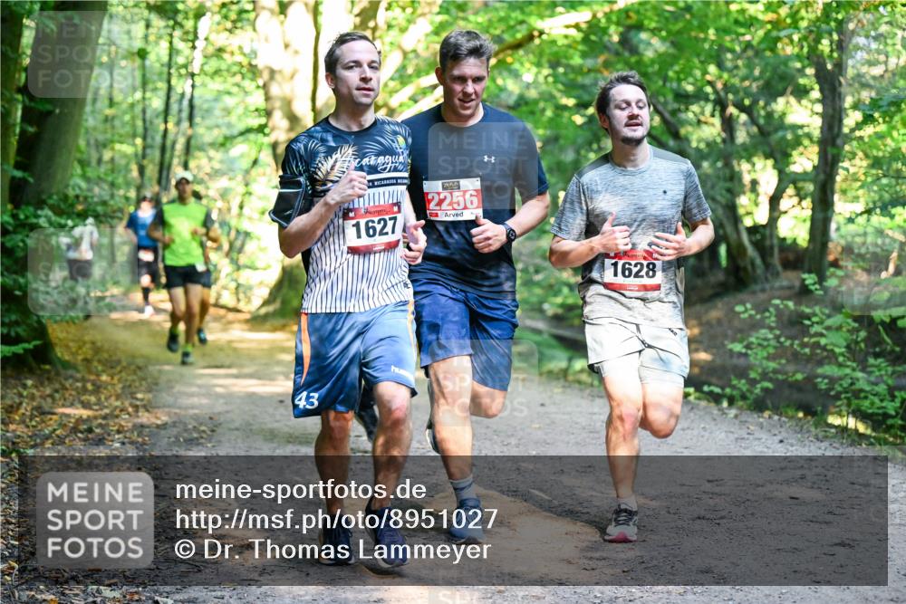 28.09.2025 - 33. Volkslauf durch das schöne Alstertal Dr. Thomas Lammeyer http://msf.ph/oto/8951027 28.09.2025 10:16:11 Laufen 43, 1627, 2256, 1628 meine-sportfotos.de
