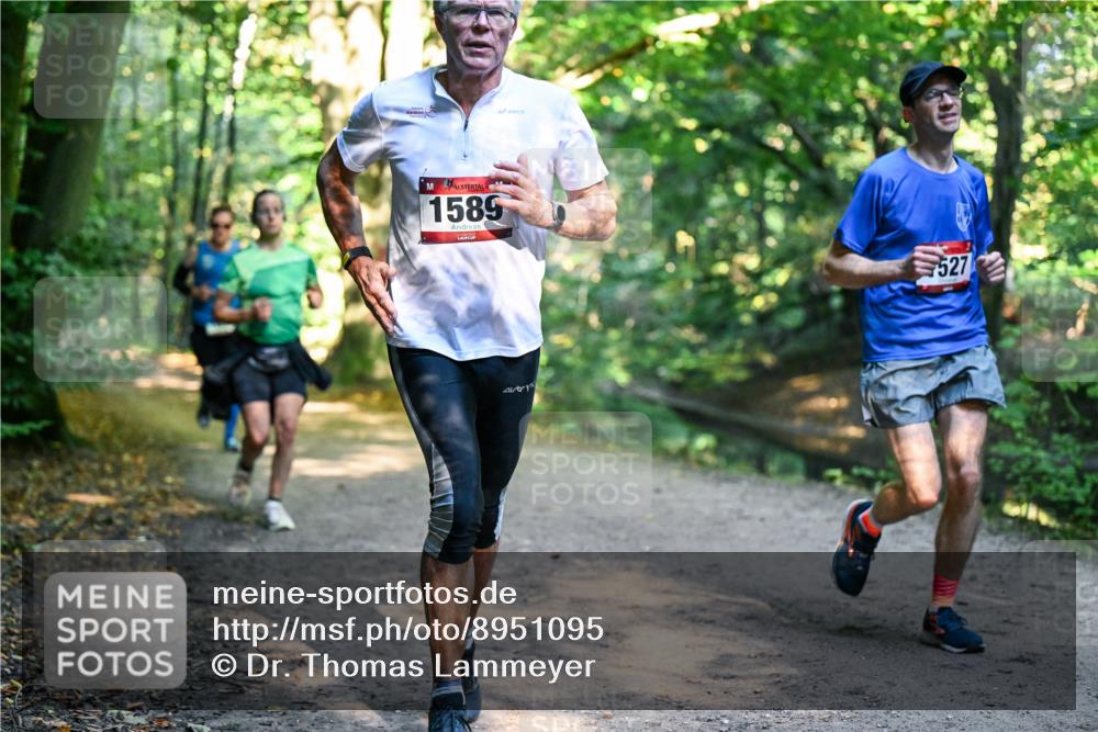 28.09.2025 - 33. Volkslauf durch das schöne Alstertal Dr. Thomas Lammeyer http://msf.ph/oto/8951095 28.09.2025 10:16:29 Laufen 1589, 527 meine-sportfotos.de