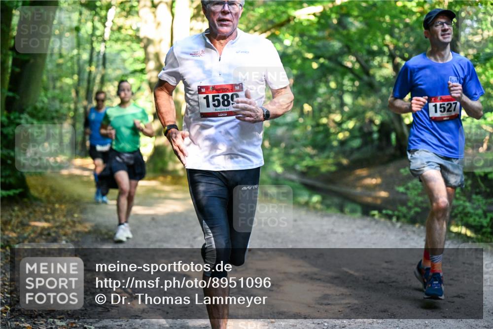 28.09.2025 - 33. Volkslauf durch das schöne Alstertal Dr. Thomas Lammeyer http://msf.ph/oto/8951096 28.09.2025 10:16:29 Laufen 1589, 1527 meine-sportfotos.de