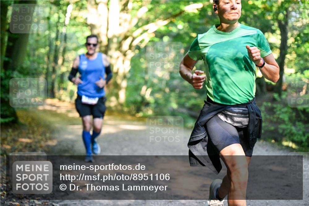 28.09.2025 - 33. Volkslauf durch das schöne Alstertal Dr. Thomas Lammeyer http://msf.ph/oto/8951106 28.09.2025 10:16:32 Laufen  meine-sportfotos.de