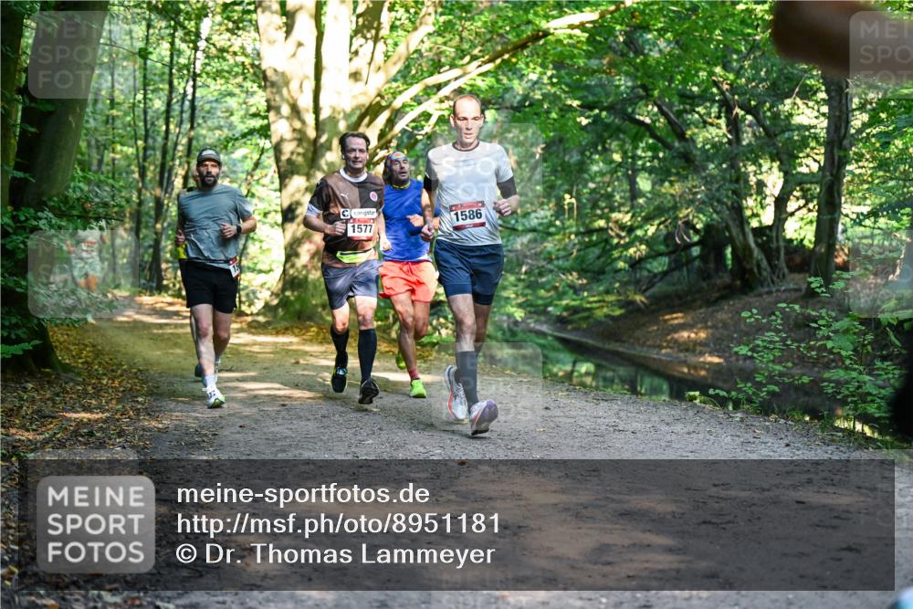 28.09.2025 - 33. Volkslauf durch das schöne Alstertal Dr. Thomas Lammeyer http://msf.ph/oto/8951181 28.09.2025 10:17:00 Laufen 1577, 1586 meine-sportfotos.de