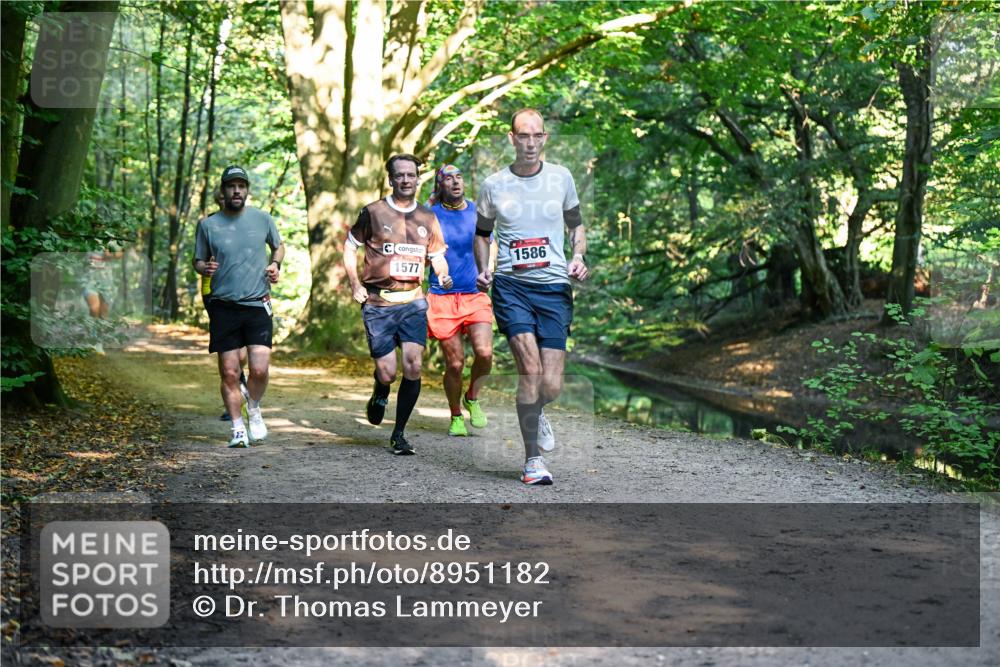 28.09.2025 - 33. Volkslauf durch das schöne Alstertal Dr. Thomas Lammeyer http://msf.ph/oto/8951182 28.09.2025 10:17:00 Laufen 1577, 1586 meine-sportfotos.de